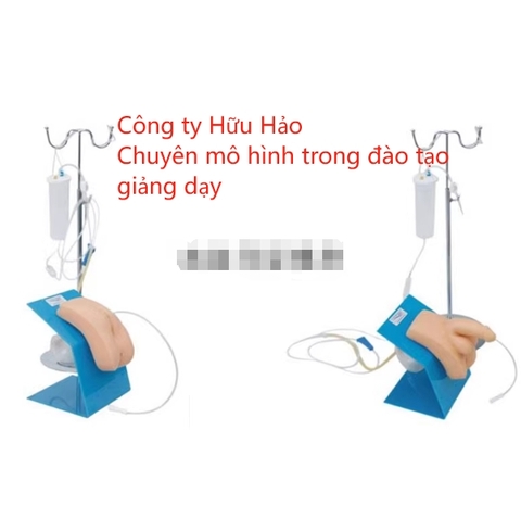 Mô hình đặt ống thông tiểu nam nữ