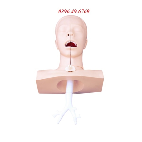 MÔ HÌNH THỰC HÀNH HÚT DỊCH - HÚT ĐỜM