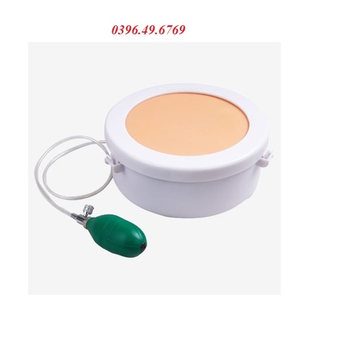 MÔ HÌNH THỰC HÀNH RẠCH VÀ KHÂU Ổ BỤNG GD/LV20