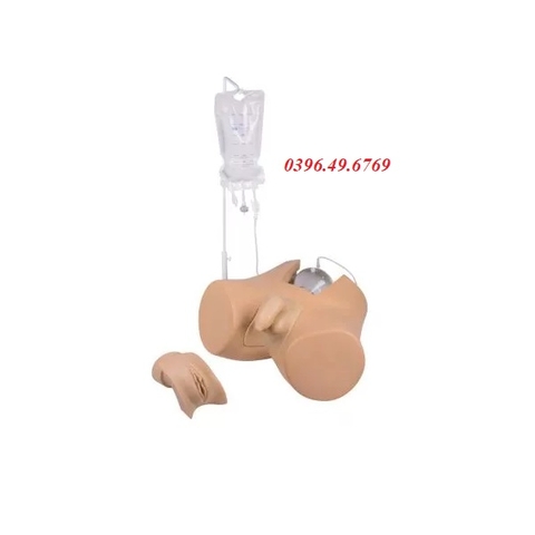 MÔ HÌNH THỰC HÀNH THÔNG TIỂU NAM NỮ VÀ THỤT THÁO MODEL 7030 HÃNG ZIMMER ĐỨC