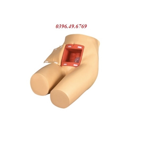 MÔ HÌNH THỰC HÀNH THỤT THÁO VÀ HỖ TRỢ ĐẠI TIỆN GD/H35