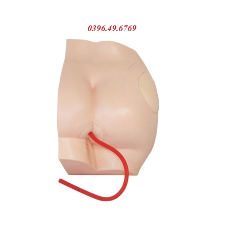 MÔ HÌNH THỰC HÀNH TIÊM MÔNG GIÁ RẺ