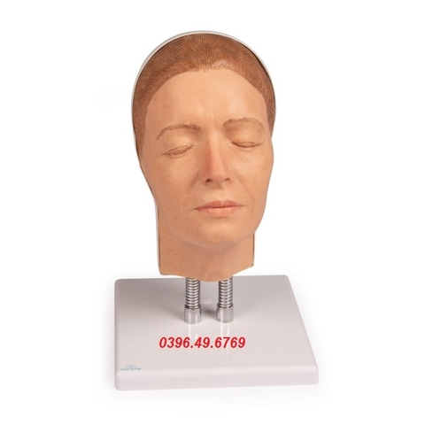 MÔ HÌNH TIÊM BOTOX THẨM MỸ CĂNG DA MẶT 8100 ERLER- ZIMMER