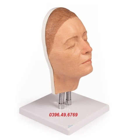 MÔ HÌNH TIÊM BOTOX THẨM MỸ CĂNG DA MẶT 8100 ERLER- ZIMMER
