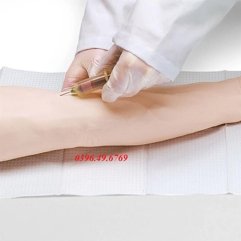 MÔ HÌNH TIÊM TĨNH MẠCH CÁNH TAY LF01121U NASCO