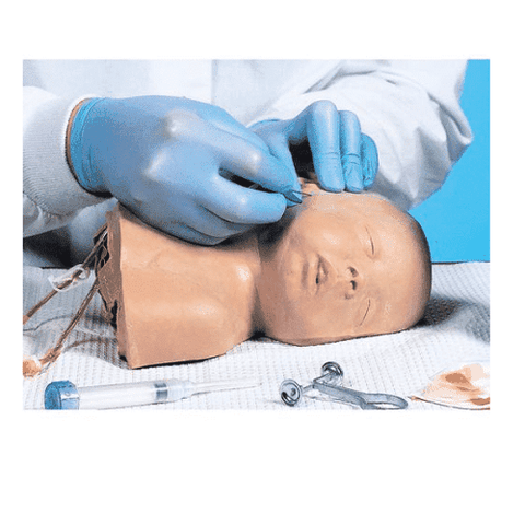 MÔ HÌNH TIÊM TĨNH MẠCH ĐẦU TRẺ EM 1005630[W44101]- MÔ HÌNH TIÊM TRUYỀN TĨNH MẠCH ĐẦU TRẺ EM