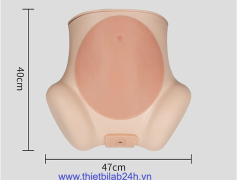 Mô hình thực hành nội soi ổ bụng, khám phụ khoa