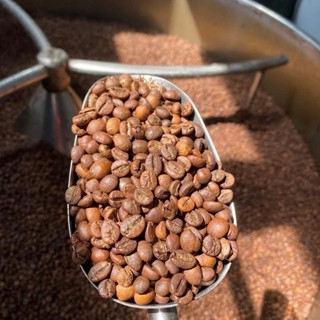 Cà Phê Truyền Thống ( Túi Giấy 500g )