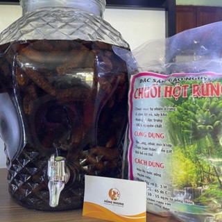Chuối hột rừng ( Gói 1kg )