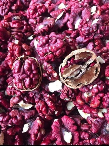 NHÂN ÓC CHÓ ĐỎ SẤY ( Hộp 500g )