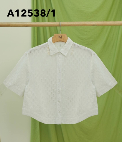 Áo Kiểu Cotton Tay Lở Thêu Hoa Văn - A12538/1