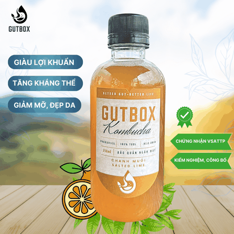 Gutbox Kombucha Chanh Muối