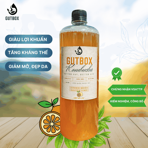 Gutbox Kombucha Chanh Muối
