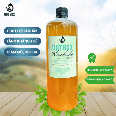 Gutbox Kombucha nguyên bản