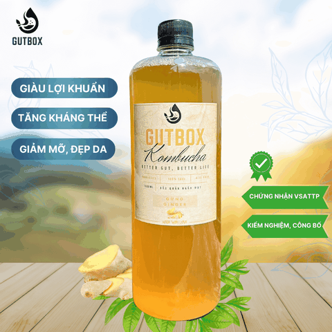 Gutbox Kombucha Gừng