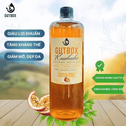 Gutbox Kombucha Chanh Dây