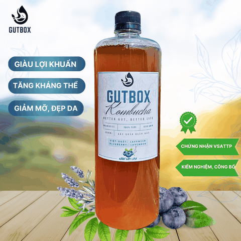 Gutbox Kombucha Việt Quất-Lavender