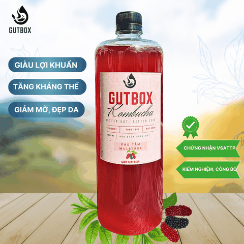 Gutbox Kombucha Dâu Tằm
