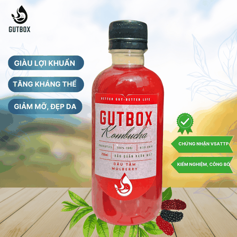 Gutbox Kombucha Dâu Tằm