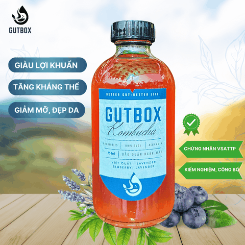 Gutbox Kombucha Việt Quất-Lavender