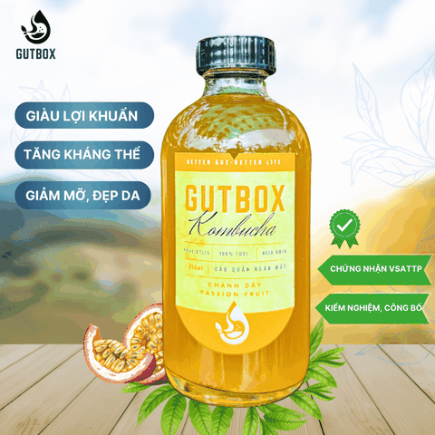 Gutbox Kombucha Chanh Dây