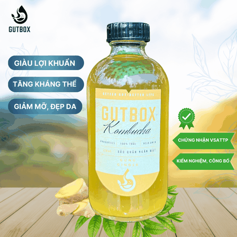 Gutbox Kombucha Gừng