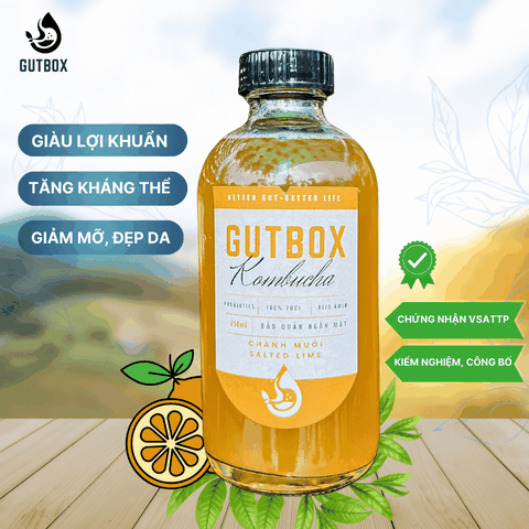 Gutbox Kombucha Chanh Muối