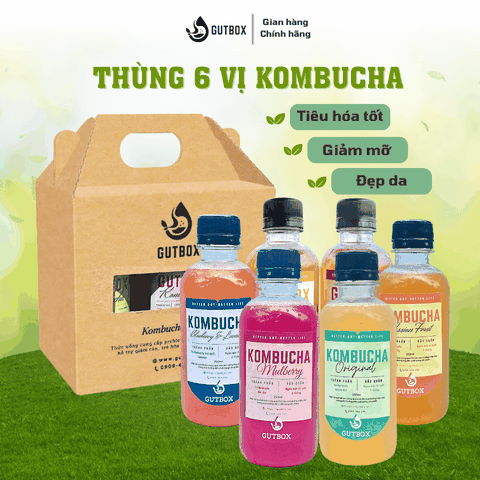 (TẶNG QUÀ) Thùng 6 chai Kombucha Gutbox (250ml)