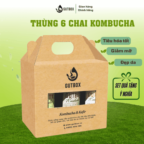 (TẶNG QUÀ) Thùng 6 chai Kombucha Gutbox (250ml)