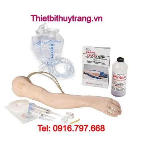 Mô Hình Cánh Tay Tiêm Tĩnh Mạch Cao Cấp Nasco LF04080