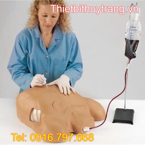 MÔ HÌNH CHỌC DÒ MÀNG TIM MÀNG PHỔI LF03769 NASCO