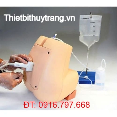 MÔ HÌNH CHỌC DÒ TUỶ SỐNG THẮT LƯNG SIÊU ÂM KYOTO KAGAKU