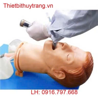 MÔ HÌNH ĐẶT NỘI KHÍ QUẢN ĐA NĂNG CAO CẤP GD/J55+