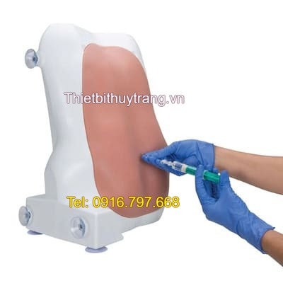 Mô Hình Gây Tê Tuỷ Sống Chọc Dò Hút Dịch 1017891 3B Scientific
