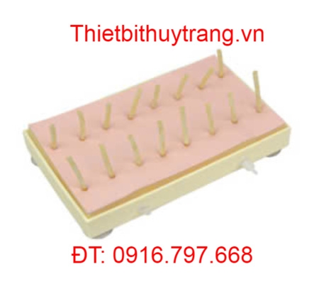 MÔ HÌNH HOẠT ĐỘNG NỐI MẠCH MÁU BỀ MẶT VÀ CẦM MÁU GD/LV60-1