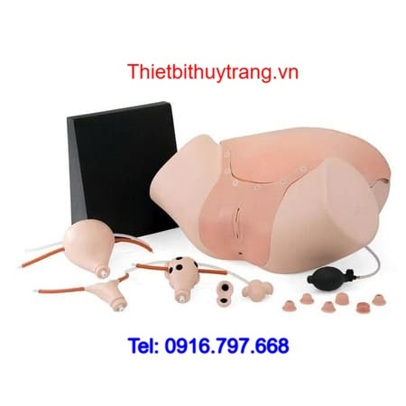 Mô Hình Khám Phụ Khoa Và Phết Tế Bào Cổ Tử Cung 3B 1021592
