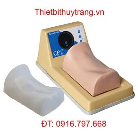 MÔ HÌNH MÔ PHỎNG HUẤN LUYỆN XỬ LÝ SỤN NHẪN GIÁP ADAM ROUILLY