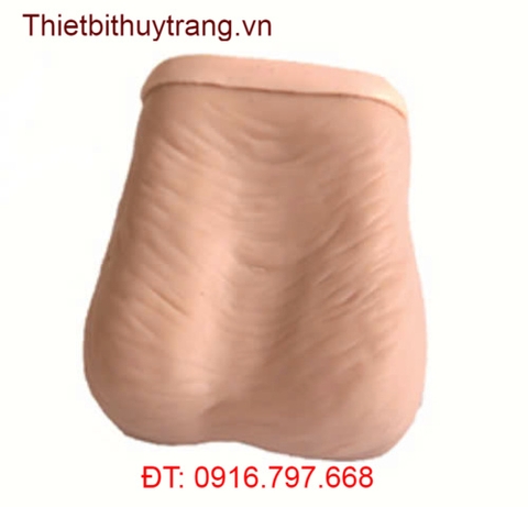 MÔ HÌNH THỰC HÀNH THĂM KHÁM TINH HOÀN GD/LV59
