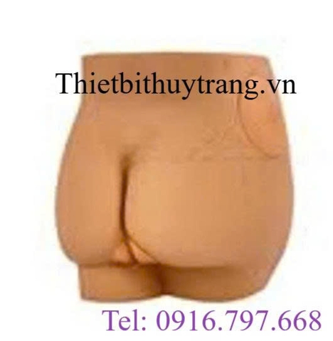 Mô Hình Tiêm Bắp Mông