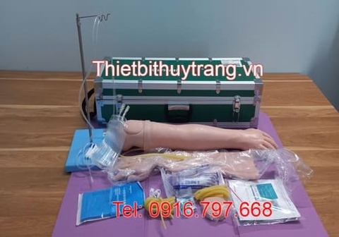 Mô Hình Tiêm Truyền Tĩnh Mạch Cánh Tay Tiên Tiến HS2