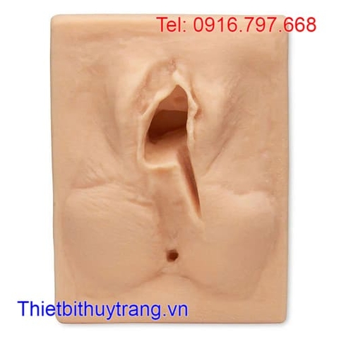 Mô Phỏng Khâu Tầng Sinh Môn Bên Trái Life/form®