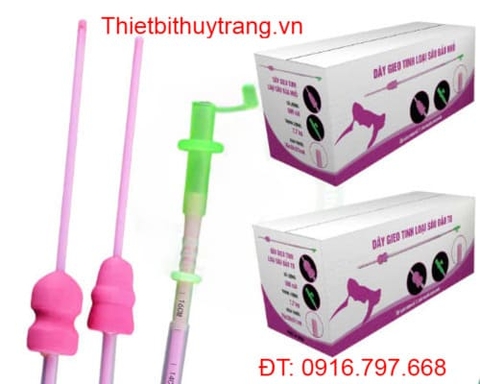 QUE PHỐI TINH HEO NÁI SÂU ĐẦU NHỎ CAO CẤP