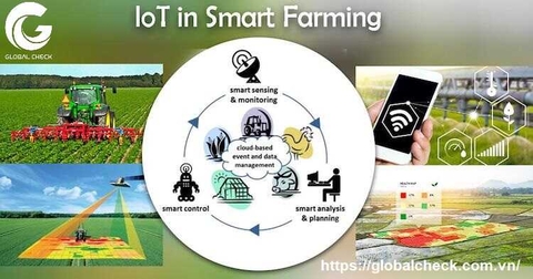 Giải pháp AI/IoT trong nông nghiệp