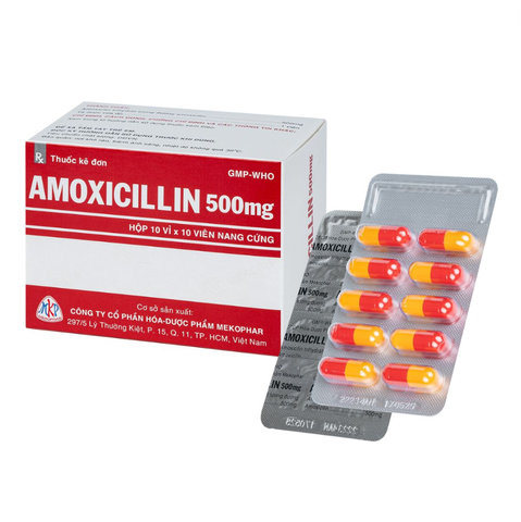 Amoxicilin 500mg Mekophar