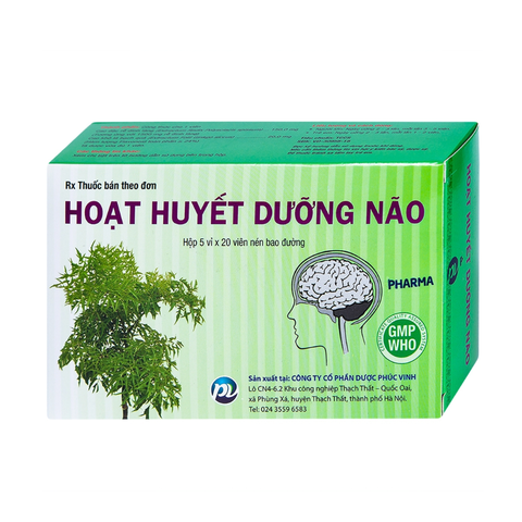 Hoạt Huyết Dưỡng Não PV