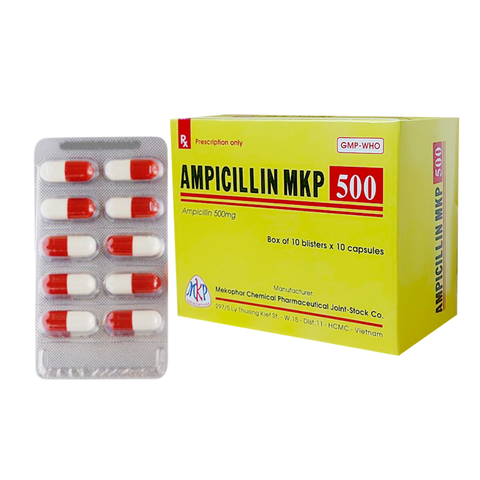 Ampicilin 500mg Mekophar