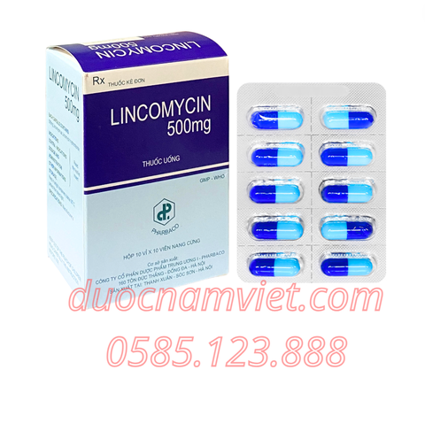 Lincomycin 500mg TW1
