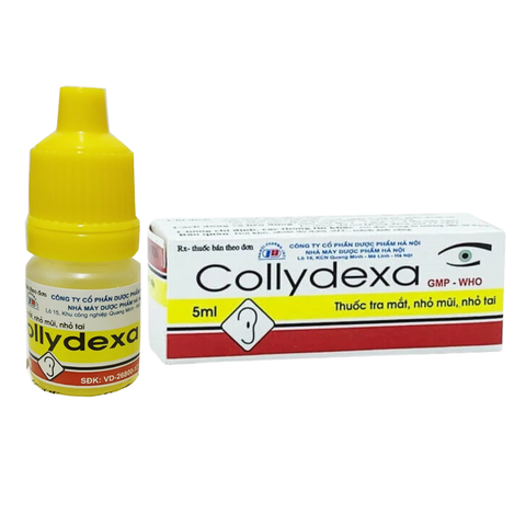 Collydexa Hà Nội