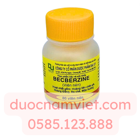 Berberin 5mg (Becberin) Đại Uy