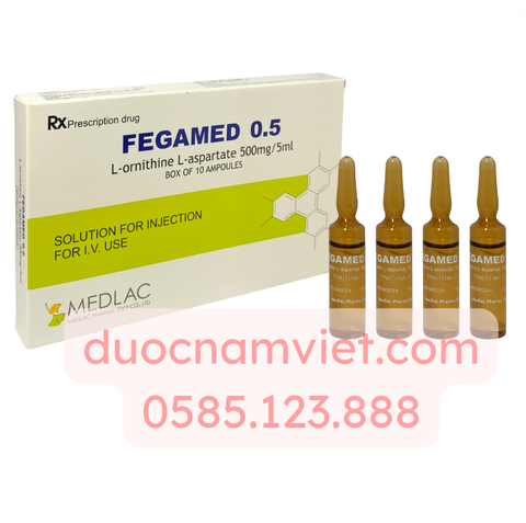Thuốc Tiêm Fegamed 0.5 (L.ornithine L-aspartate 500mg/5ml) H.10 ống